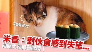 米香：不要再吃草了！明明大家都喜歡的貓年菜【貓咪副食食譜】好味貓鮮食廚房EP131