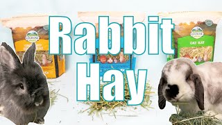 RABBIT HAY: Breakdown and Explanation of Different Hays and Grasses