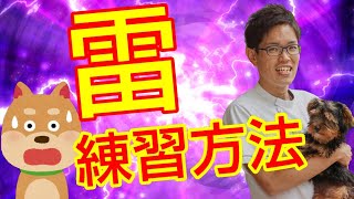 【子犬 雷 怖がる】雷を怖がらないための練習方法