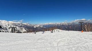 Skiing the Slopes of Hakuba Goryu: A Journey Through Japan's Winter Paradise 日本滑雪勝地：白馬五龍滑雪場林間雪道和雪山絕景