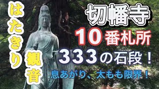 切幡寺 １０番札所 ３３３階段を上って本堂へ！