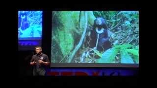 Story of Mary The Bear: Wong Siew Te at TEDxKL 2012
