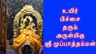 உயிர் பிச்சை தரும் அம்மன் அருள்மிகு ஸ்ரீ முப்பாத்தம்மன் ஆலயம் தேனாம்பேட்டை சென்னை 98407 73390