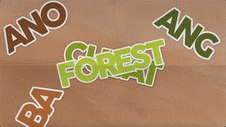 Explained in X-Seconds: Forestry 101