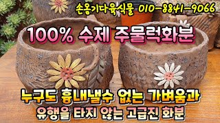 #손옹기다육식물(010-8841-9066) #가벼운수제주물럭화분 #봄시리즈 #유행타지않는화분 #Succulentpot