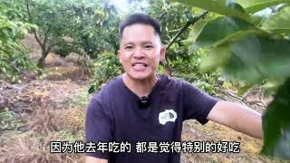 247 越南媳妇网上卖板栗，没想到一天就卖出2000斤，看看她挣了多少钱