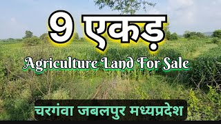 9 Acres Agriculture Land Chargawan Jabalpur Madhya Pradesh