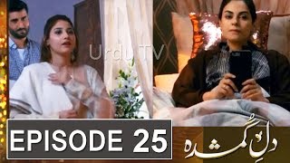 Dil e Gumshuda Episode 25 Promo|Dil e Gumshuda EP 25 Teaser|Dil e Gumshuda Episode 24 Review|Urdu TV