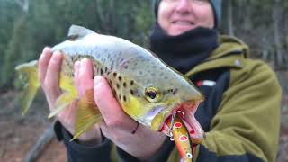 Action packed trout session (winter trout fishing)