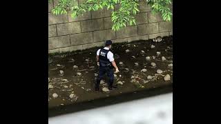 Japanese Police Saving Street Cat from the river in Shinjuku, Tokyo