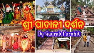 PATALI SHREEKHETRA DARSHANA || ପାତାଳୀ ଶ୍ରୀକ୍ଷେତ୍ର ଦର୍ଶନ ||