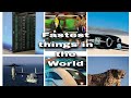 Fastest things in the world |2022|Knowledge Spreader