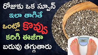 Chia Seeds For Weight loss In Telugu | How To Use Chia Seeds For Weight Loss | Weight Loss Tips