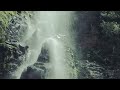 Waterfalls Nature Whatsapp Status