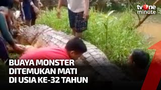 Sakit, Buaya Monster Sepanjang 6 Meter Tutup Usia | tvOne Minute