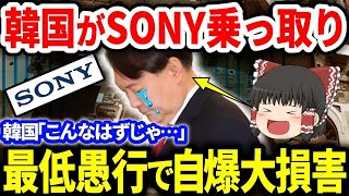 ソニーを乗っ取り最低愚行で大自爆！【ゆっくり解説】