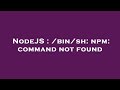 NodeJS : /bin/sh: npm: command not found