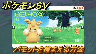 ポケモンＳＶ　パモットを捕まえる方法！出現場所は？図鑑No.２３　ポケモン図鑑を埋めよう！　【スカーレット・バイオレット】