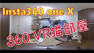 【でか猫360°VR】Insta360 one Xで撮影した360°VR動画～猫部屋全て見せます～