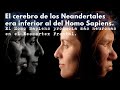 Confirmado: el cerebro de los Neandertales era inferior al del Homo Sapiens.