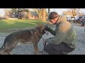 Shaker Heights police K-9 reunited with former officer after City Council amends policy