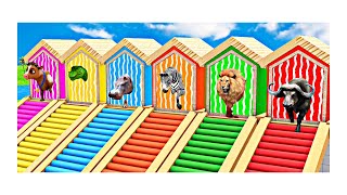 Long Slide Game With Elephant Gorilla Buffalo Hippopotamus Tiger - 3d Animal Game - Funny 3d Animals