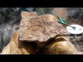 Finding Gold With Doc and Minelab's GPZ7000 May 6 Specie 1 of 3