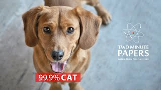 Adversarial Attacks on Neural Networks - Bug or Feature?