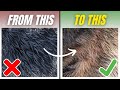DO'S & DON'TS | How to Paint Realistic Fur