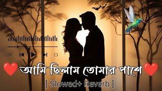 Ami chilam Tomer Pase || আমি ছিলাম তোমার পাশে || 🥀Lofi - Song 🥀