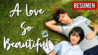 A LOVE SO BEAUTIFUL [ Un Amor Tan Hermoso ] - Resumen -