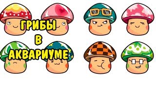 ГРИБЫ В АКВАРИУМЕ ! MUSHROOMS IN THE AQUARIUM