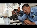 Binocular Microscope repairing and installation