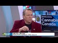 Edibles were designed to hit in 2020: Bruce Linton