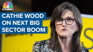 Cathie Wood: Digital wallets and genomics are the next big sector boom