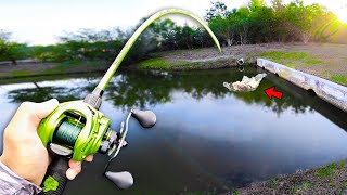 This CANAL has GIANT Bass! (Bank Fishing)