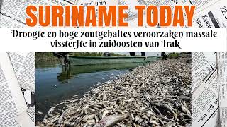 Droogte En Hoge Zoutgehaltes Veroorzaken Massale Vissterfte In Zuidoosten Van Irak | Suriname Today