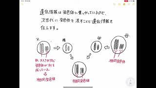 相同染色体と二価染色体って何が違うんですかと聞かれたので答えた話！