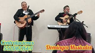 Arturo y Tamagochi Domingos Musicales Contrataciones 5520821669