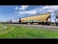 hot cp grain train