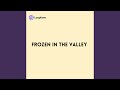 Frozen in the Valley