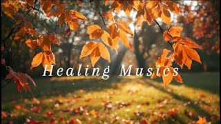 신선한 가을 바람과 함께 듣는 감성 피아노 뮤직 🎹🍂ㅣ일할때 듣기 좋은 피아노 연주