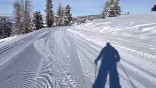 Vail Skiing - Eagle’s Nest Ridge and Game Trail (Game Creek Bowl)