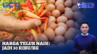 Harga Cabai dan Telur Melonjak! Begini Kondisi Pasar Terkini - SIS 11/12