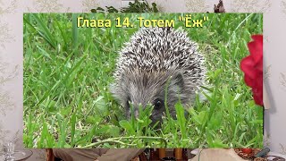 Тотем ЁЖ🦔. Глава 14. Хранитель 1 февраля \