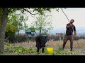 Remote Mountain Life: Walnut Harvest and Daily Routines in a Charming Village