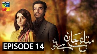 Mata E Jaan Hai Tu Episode 14  English Subtitles  Hum Tv  Drama