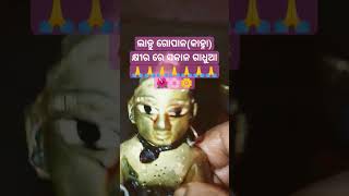 କାହ୍ନା ର କ୍ଷୀର ରେ ସକାଳ ଗାଧୁଆ#youtubeshort #viral #video #