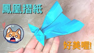 鳳凰摺紙,這個尾巴很漂亮呢!! | 簡單摺紙教學 | Origami Phoenix