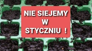 Dlaczego NIE siejemy w styczniu ?! Kiedy siać, dlaczego siejemy w lutym ? Co posiać w styczniu